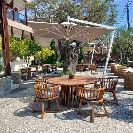 Ayia Marina Suites Ouranoupoli Exteriör bild